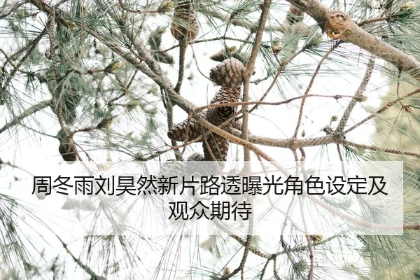zhou-dong-yu-liu-hao-ran-xin-pian-lu-tou-bao-guang-jue-se-she-ding-ji-guan-zhong-qi-dai-2-471.jpg